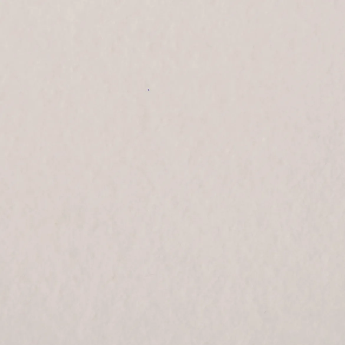 Baumwollfleece Fleece aus Baumwolle einfarbig creme 1,45m