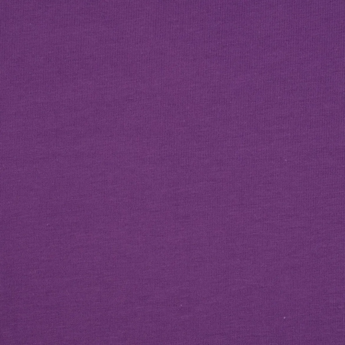 Baumwolljersey Melange Jersey einfarbig lila meliert 1,45m Breite