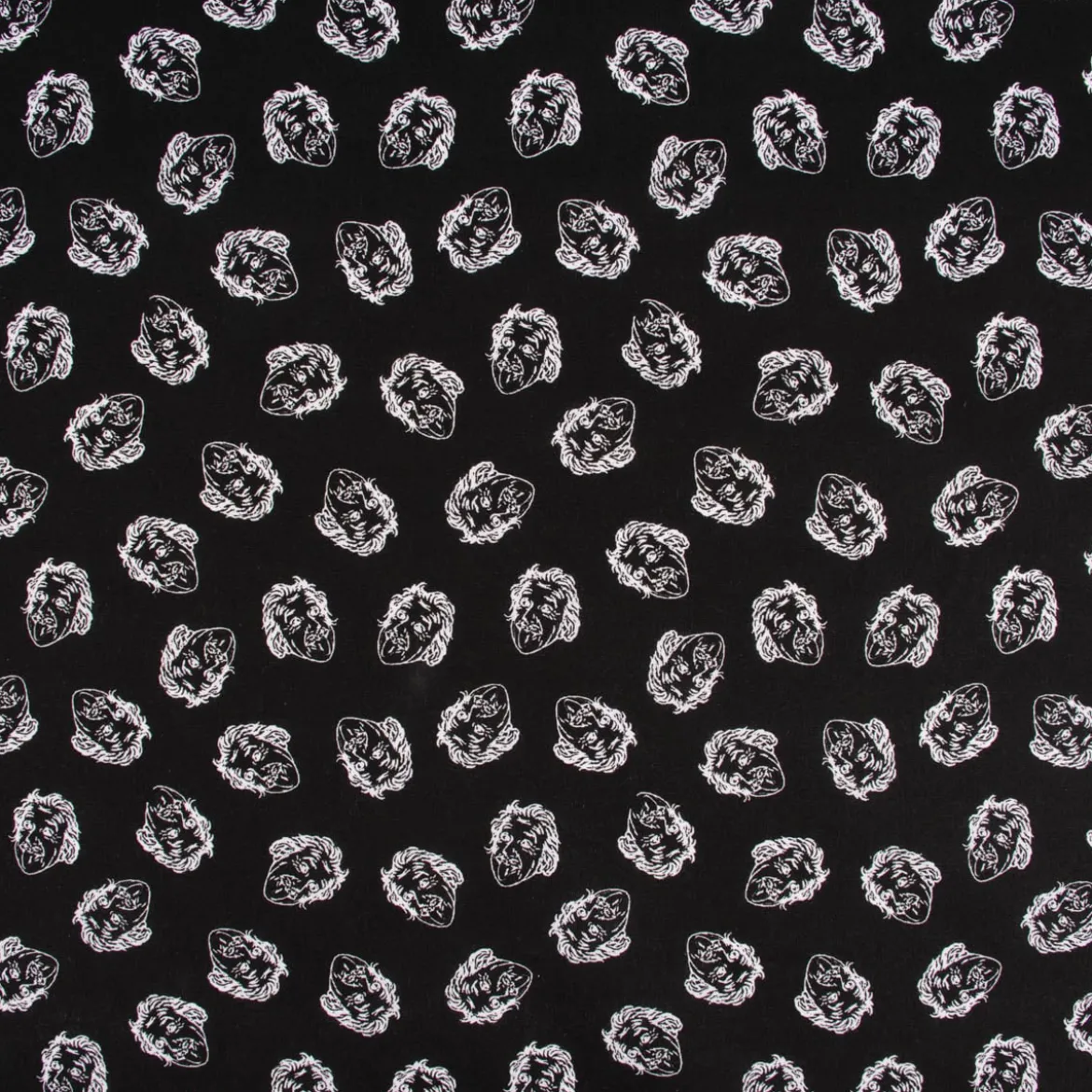 Baumwollstoff Organic Bio Einstein schwarz weiß 1,50m Breite