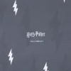 Baumwollstoff Popeline Digitaldruck Harry Potter Schriftzug Blitz grau weiß dunkelgrau 1,5m Breite