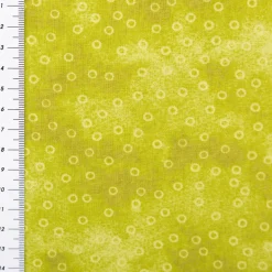 Baumwollstoff Popeline Stoff Kreise Serie Vintage Washed Grün 1,40m Breite