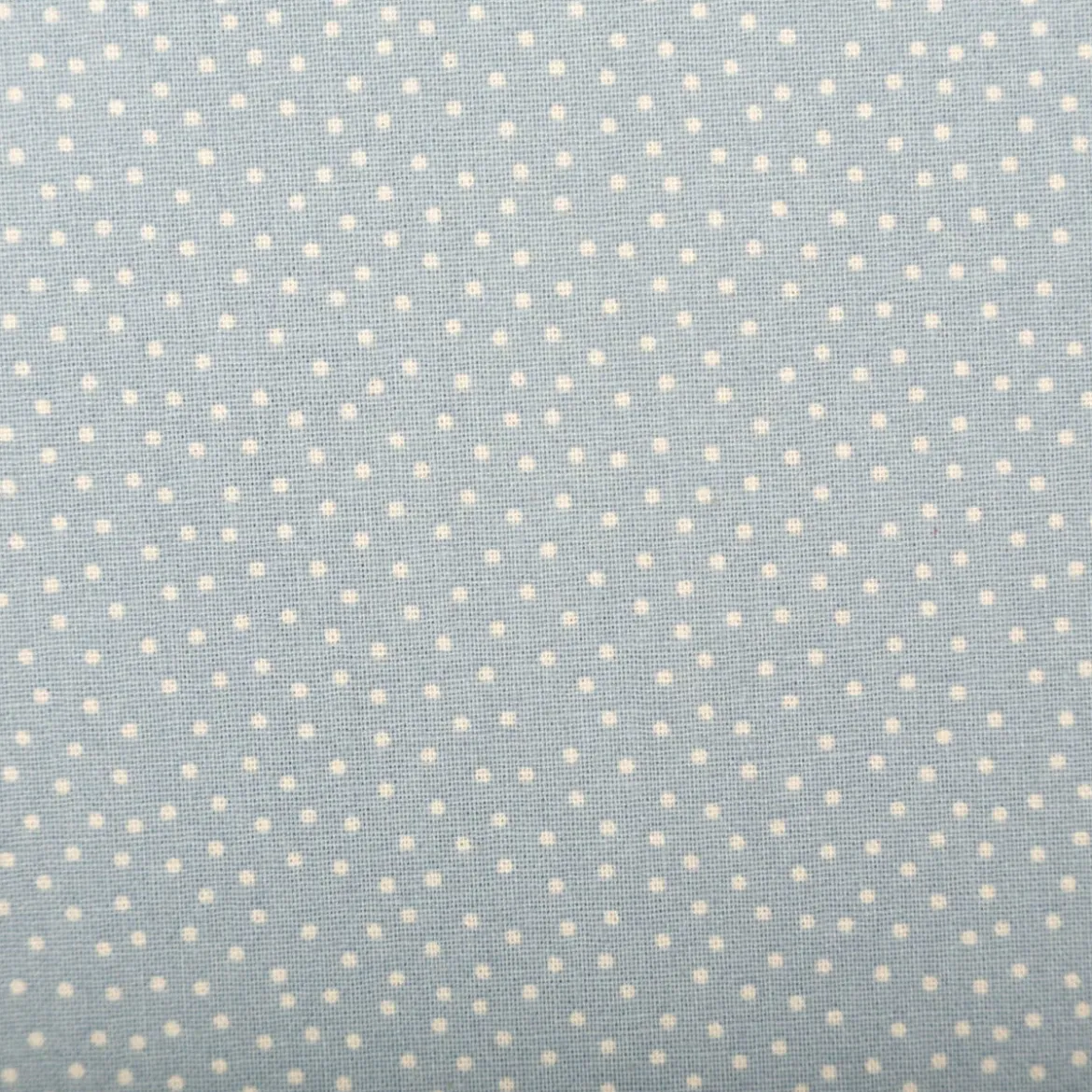 Baumwollstoff Popeline Stoff Pünktchen Serie Romantic Garden Babyblau 1,40m Breite