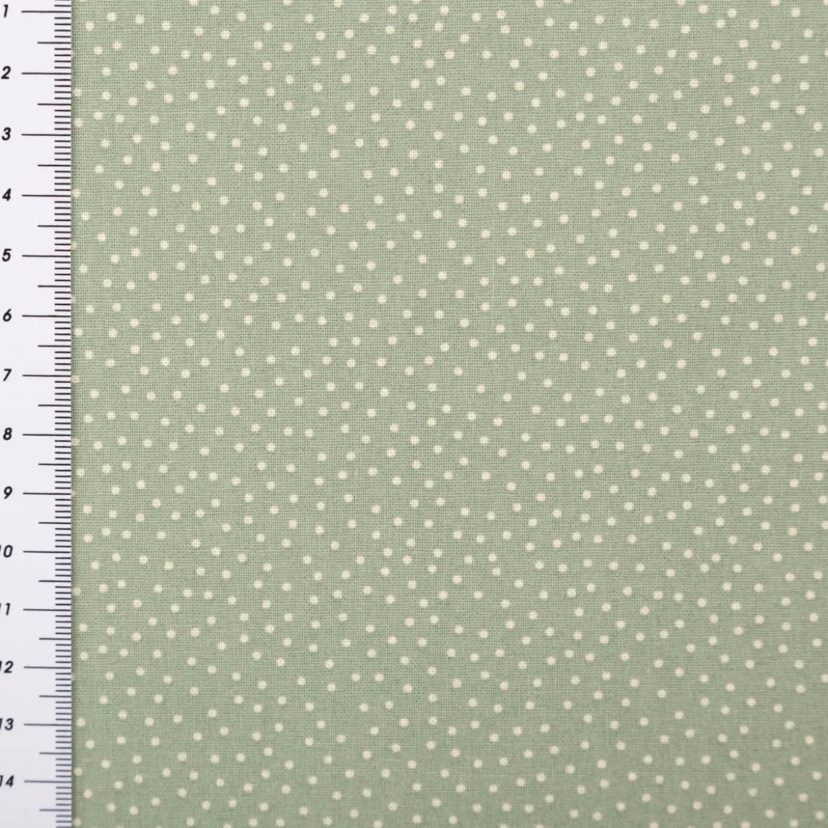 Baumwollstoff Popeline Stoff Pünktchen Serie Romantic Garden Mintgrün 1,40m Breite