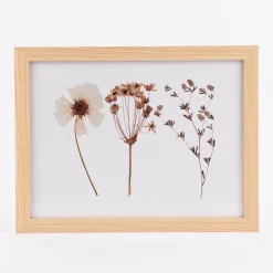 Bild mit Trockenblumen natur weiß bunt 43x33x1cm verschiedene Motive