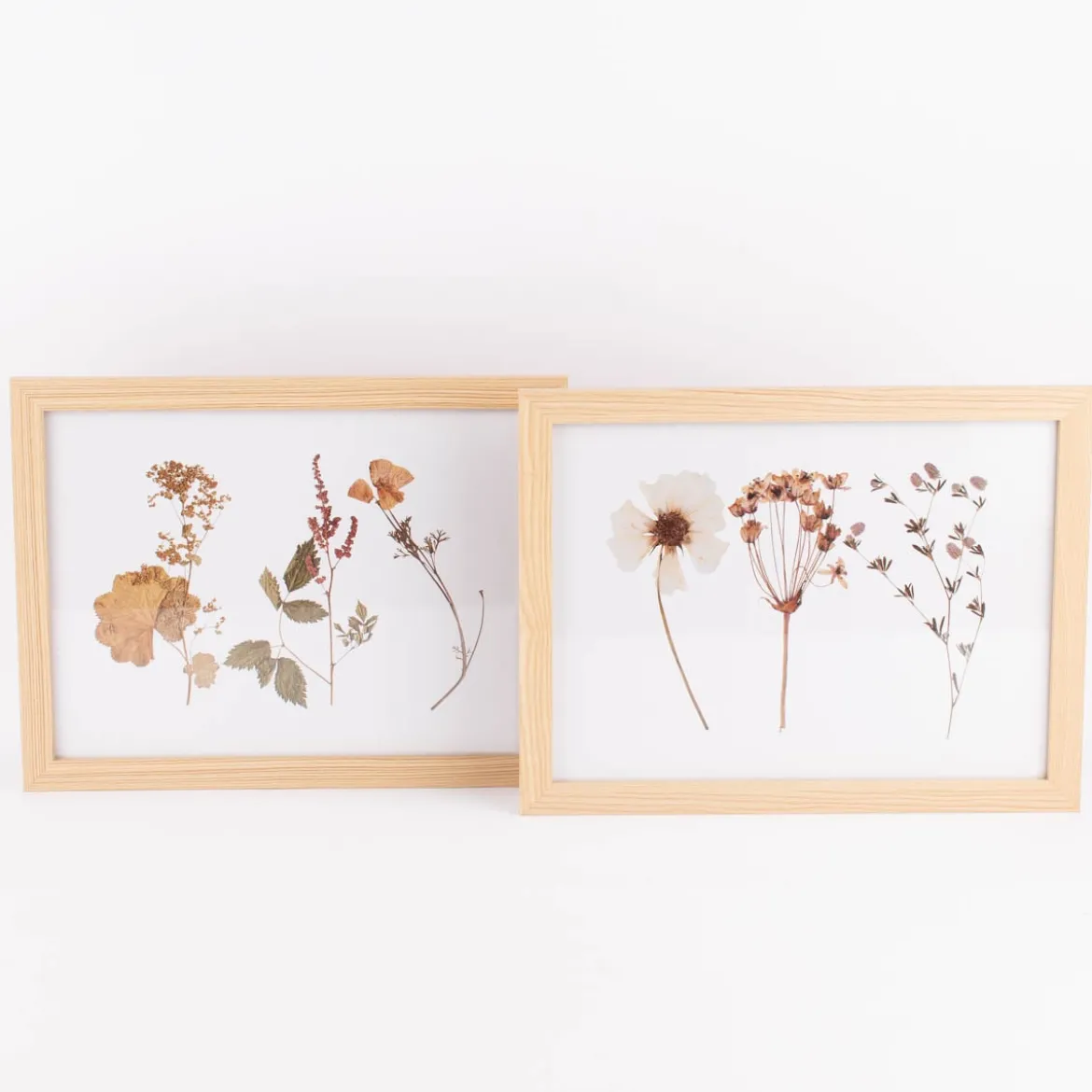 Bild mit Trockenblumen natur weiß bunt 43x33x1cm verschiedene Motive