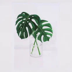 Bild Pflanze Monstera Blätter Papier weiß grün A4 30x21cm