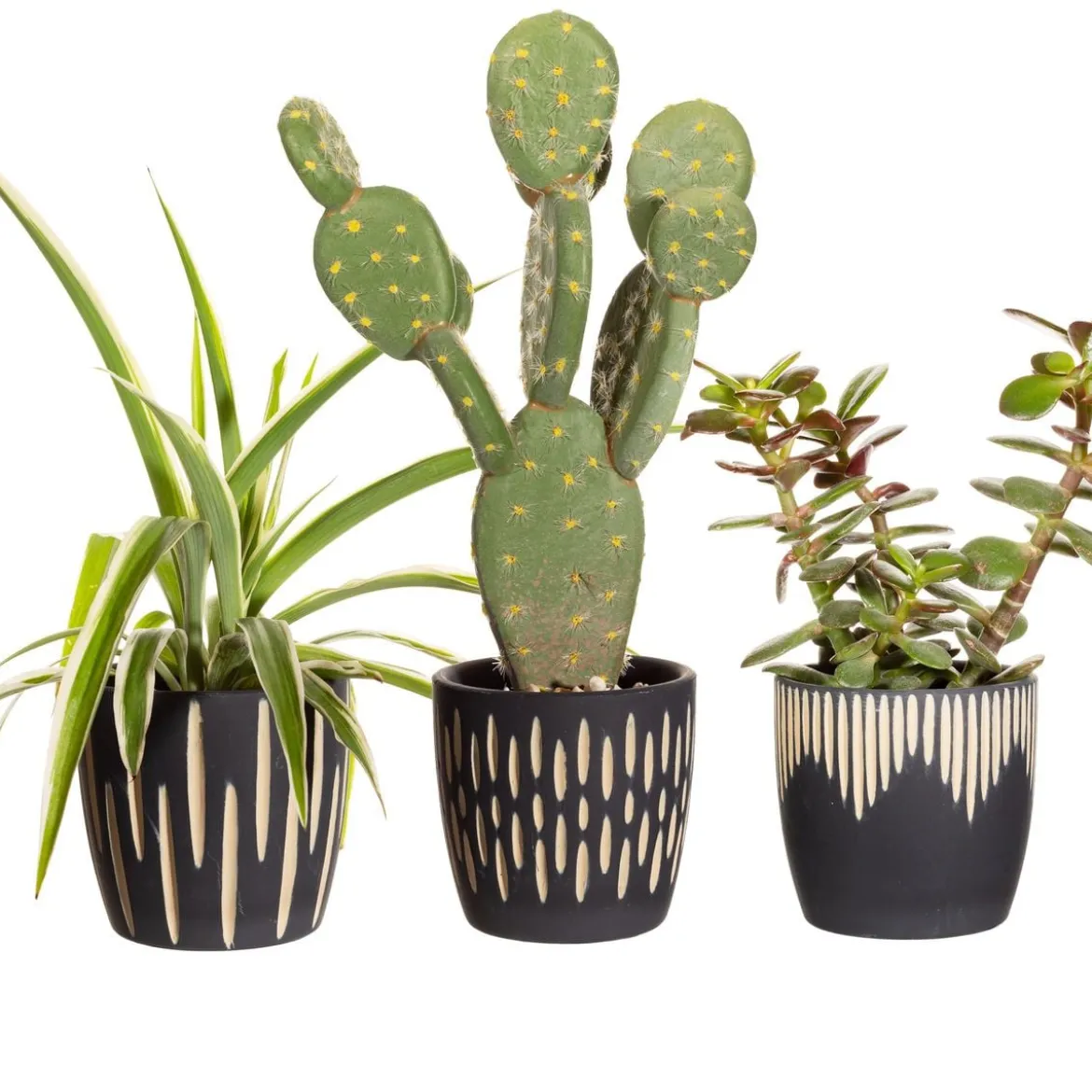 Blumentopf 3er Set Boho Keramik schwarz 8x7,5cm von Sass & Belle