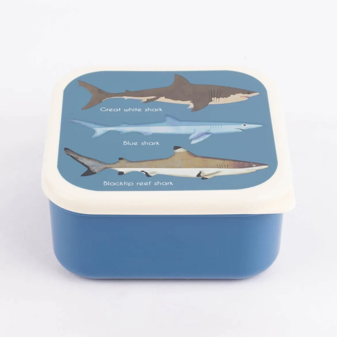 Brotzeit-Dose Hai 3er Set dunkelblau weiß 12x5,5cm