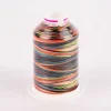 Bulky-Lock 80 Bauschgarn Multicolor Farbnr. 9842 Gütermann 1000 Meter/Spule