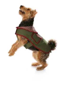 Burda Schnittmuster 7752 Hundemantel