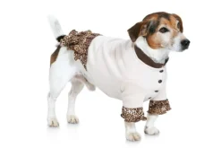 Burda Schnittmuster 7752 Hundemantel