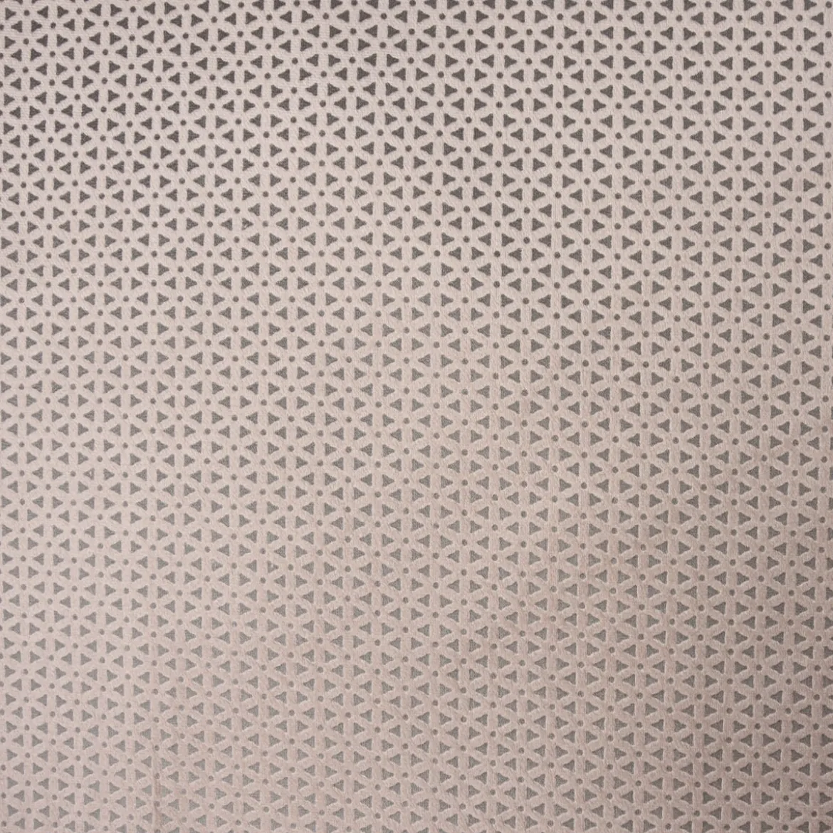 Clarke & Clarke STUDIO G Bezugsstoff Möbelstoff Polsterstoff Samtstoff Microfaser Loreto stone 140cm Breite