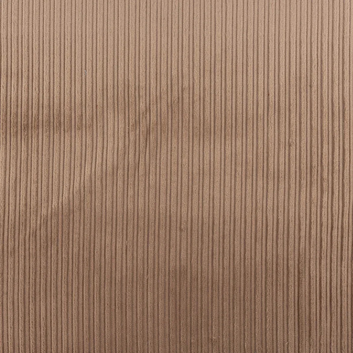 Cord Baumwolle Bekleidungsstoff Dekostoff Doppelrille einfarbig beige 1,45m Breite