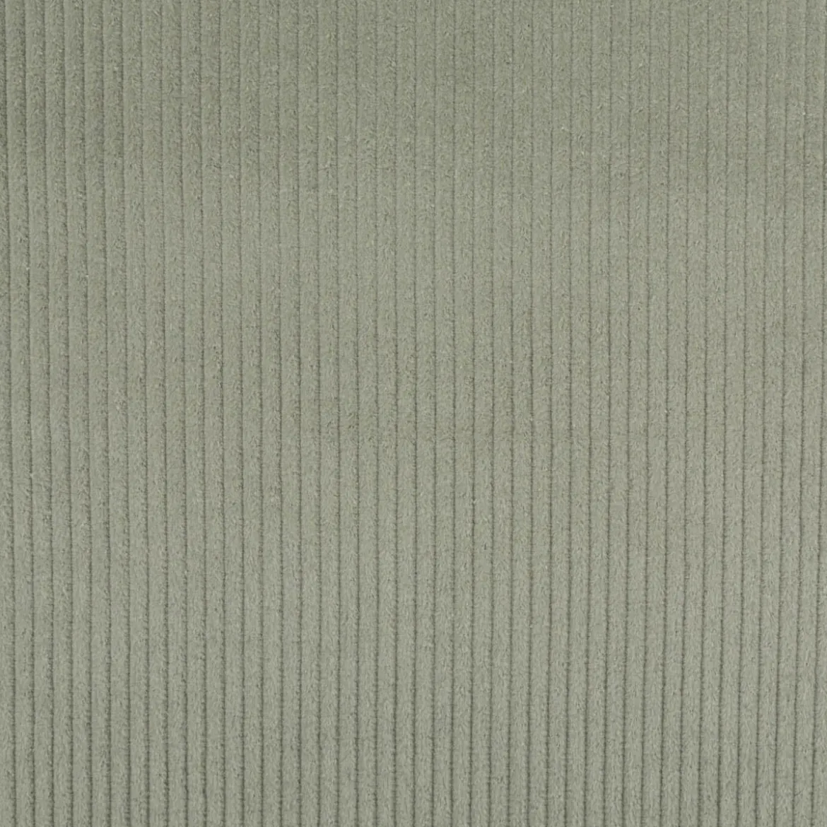 Cord Stoff aus Baumwolle Bekleidungsstoff Dekostoff 4,5W grob vorgewaschen einfarbig salbei-grün 1,4m Breite