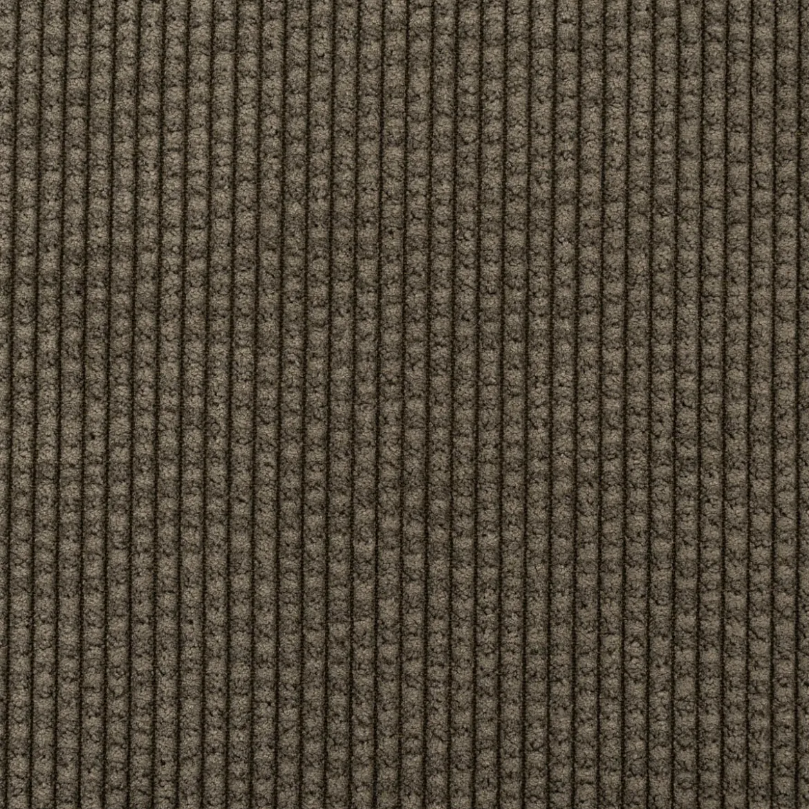 Cordstoff Bubble mit Plüsch Rückseite Doubleface Bekleidungsstoff Dekostoff khaki ecru 1,45m Breite