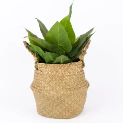 Creativ Company Korb aus Seegras mit Henkeln rund natur 27x27cm