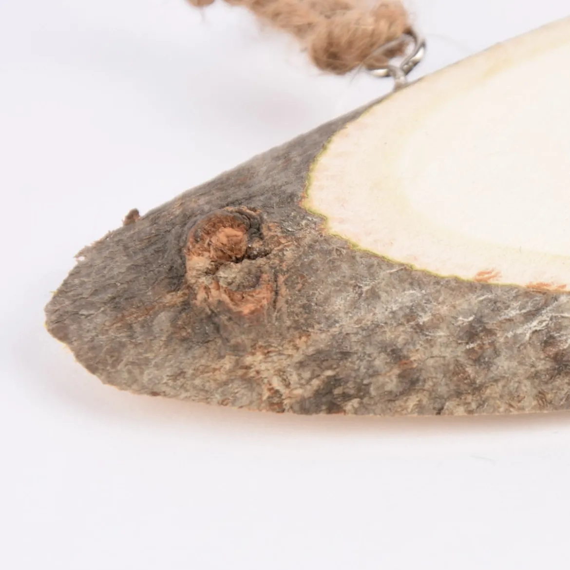Creativ Company Türschild Baumschiebe blanko oval Holz 23x6cm