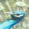 Dekokissen Pfau aus Baumwolle grün blau natur 45x45cm von Elbersdrucke