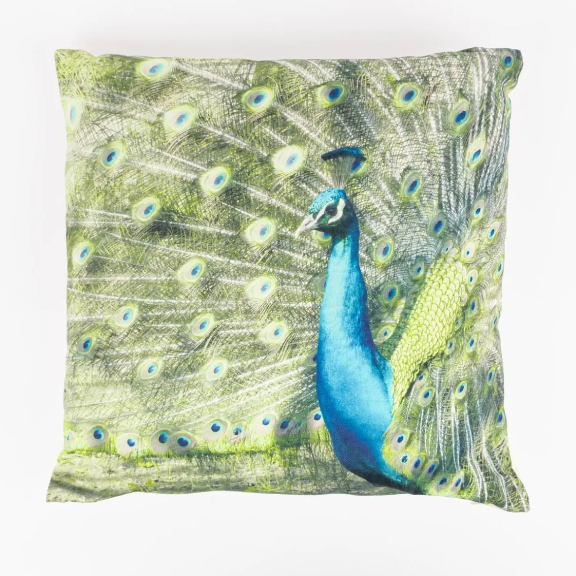 Dekokissen Pfau aus Baumwolle grün blau natur 45x45cm von Elbersdrucke