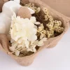 Deko-Set Ostern mit Hase und getrockneten Blumen und Gräsern Hase sitzend oder liegend in Eierschachtel 16x12x7cm