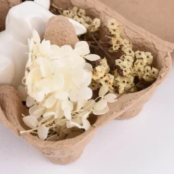 Deko-Set Ostern mit Hase und getrockneten Blumen und Gräsern Hase sitzend oder liegend in Eierschachtel 16x12x7cm