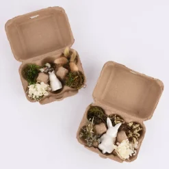 Deko-Set Ostern mit Hase und getrockneten Blumen und Gräsern Hase sitzend oder liegend in Eierschachtel 16x12x7cm