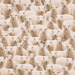 Dekostoff Baumwollstoff Halbpanama Sheep Flock Schafherde beige 1,40m Breite
