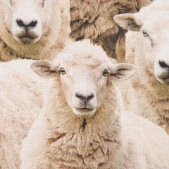 Dekostoff Baumwollstoff Halbpanama Sheep Flock Schafherde beige 1,40m Breite