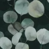 Dekostoff Baumwollstoff Halbpanama Digitaldruck Eucalyptus Boho Leaf Eukalyptus Blätter grün 1,40m Breite