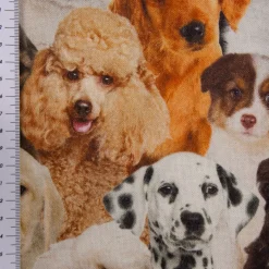 Dekostoff Halbpanama Baumwolle Hunde Welpen braun weiß schwarz 1,40m Breite