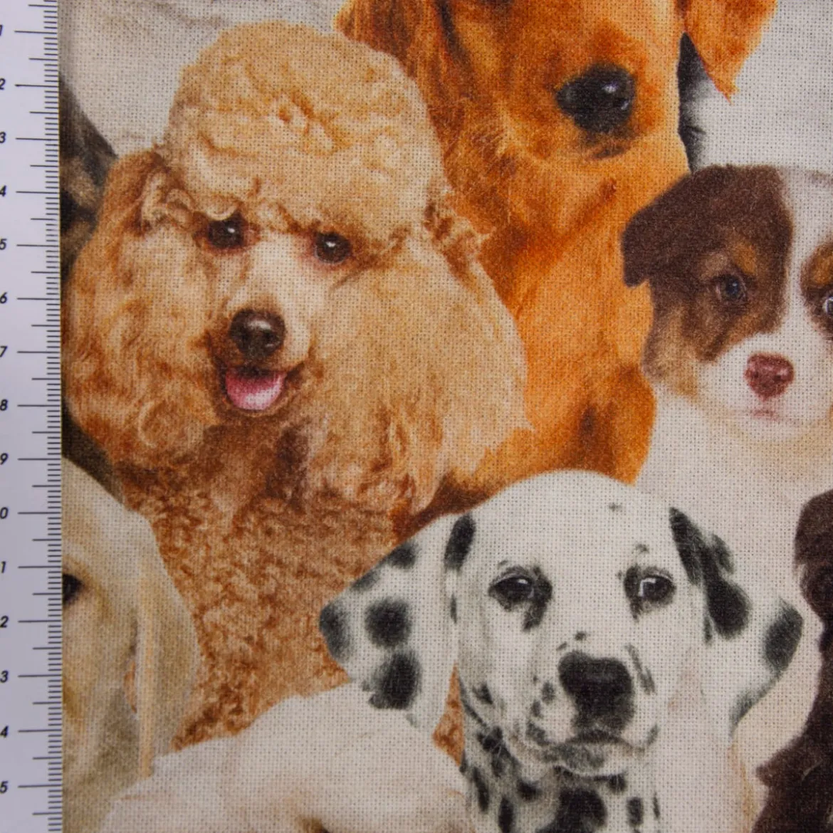 Dekostoff Halbpanama Baumwolle Hunde Welpen braun weiß schwarz 1,40m Breite