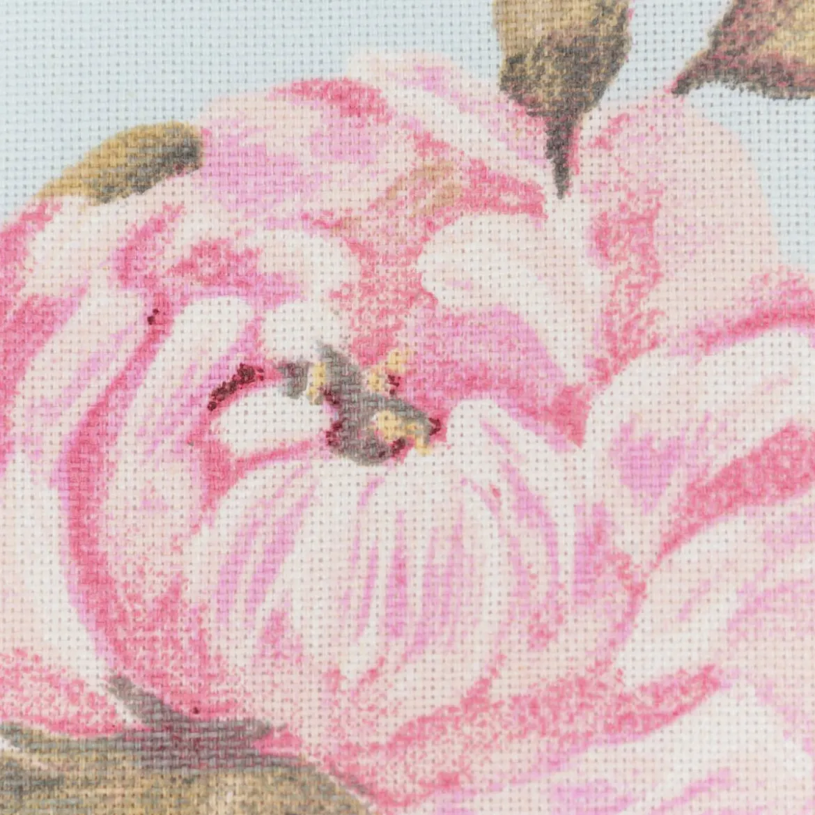 Dekostoff Halbpanama Classic Painted Rose Rosen hellblau rosa 1,40m Breite