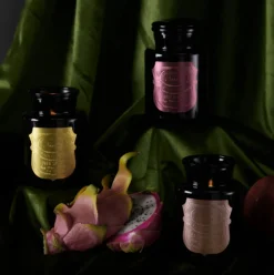 Duftkerze Apothecary Noir Black Fig 226 g – Paddywax