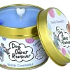 Duftkerze Dog Odour Remover Candle in der Metalldose von Bomb Cosmetic