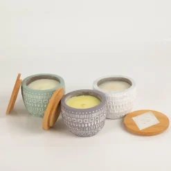 Duftkerze Sojakerze Sonora Concrete Candle 85g Purple Wildflowers & Birch von Paddywax