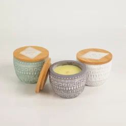 Duftkerze Sojakerze Sonora Concrete Candle 85g Purple Wildflowers & Birch von Paddywax