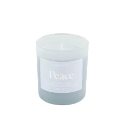 Duftkerze Sojakerze Wellness Blue Peace 141gr im Glastopf von Paddywax