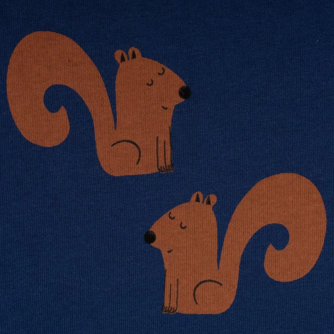 French Terry Stoff Sommersweat Jogging Eichhörnchen blau braun 1,48m Breite