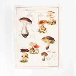 Geschirrtücher 3er Set Pilze aus Baumwolle 50x70cm