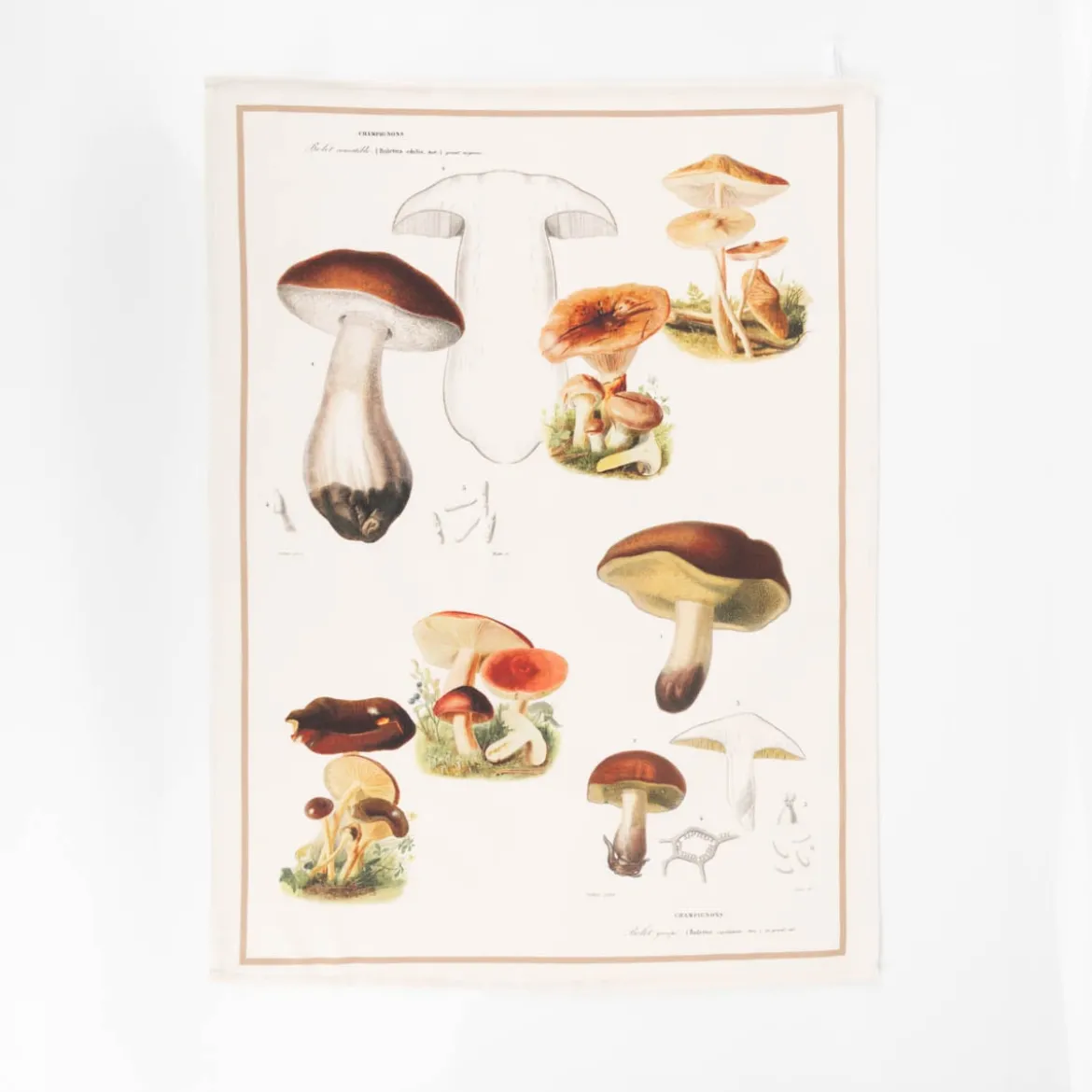 Geschirrtücher 3er Set Pilze aus Baumwolle 50x70cm