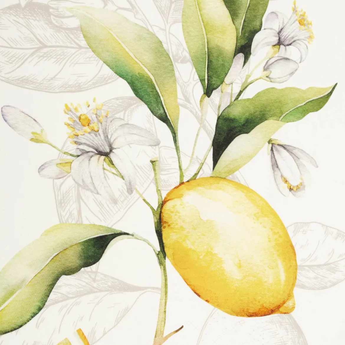Geschirrtuch Lemon aus Baumwolle 50x70cm im 3er Set