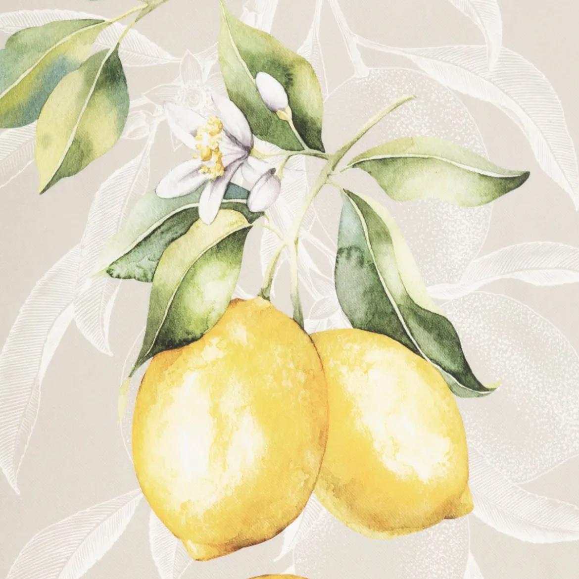 Geschirrtuch Lemon aus Baumwolle 50x70cm im 3er Set