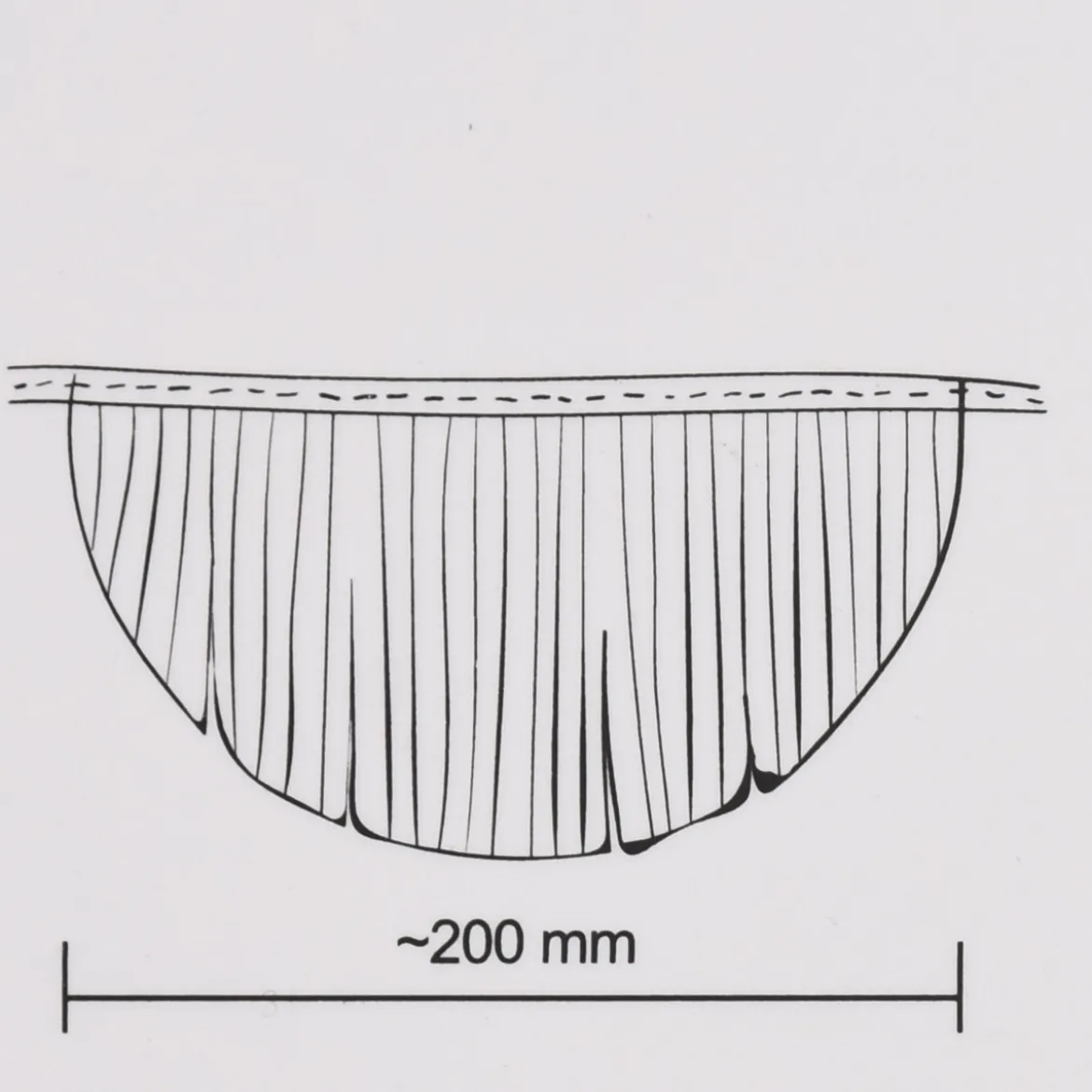 Girlande Fransenbogen klein hellrosa Länge: 300cm