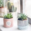 Grafik Werkstatt Mini-Blumentopf Für Dich Küken weiß gelb 6x6,5cm