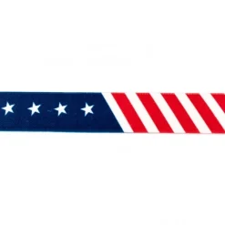 Gummi Band USA Breite: 2,5cm
