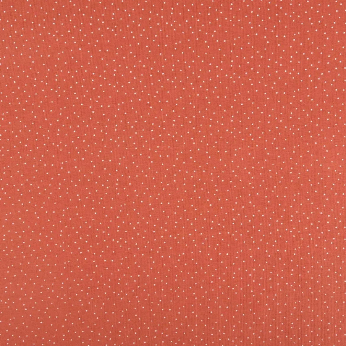 Jersey Stoff Baumwolljersey Pünktchen terracotta 1,50m Breite