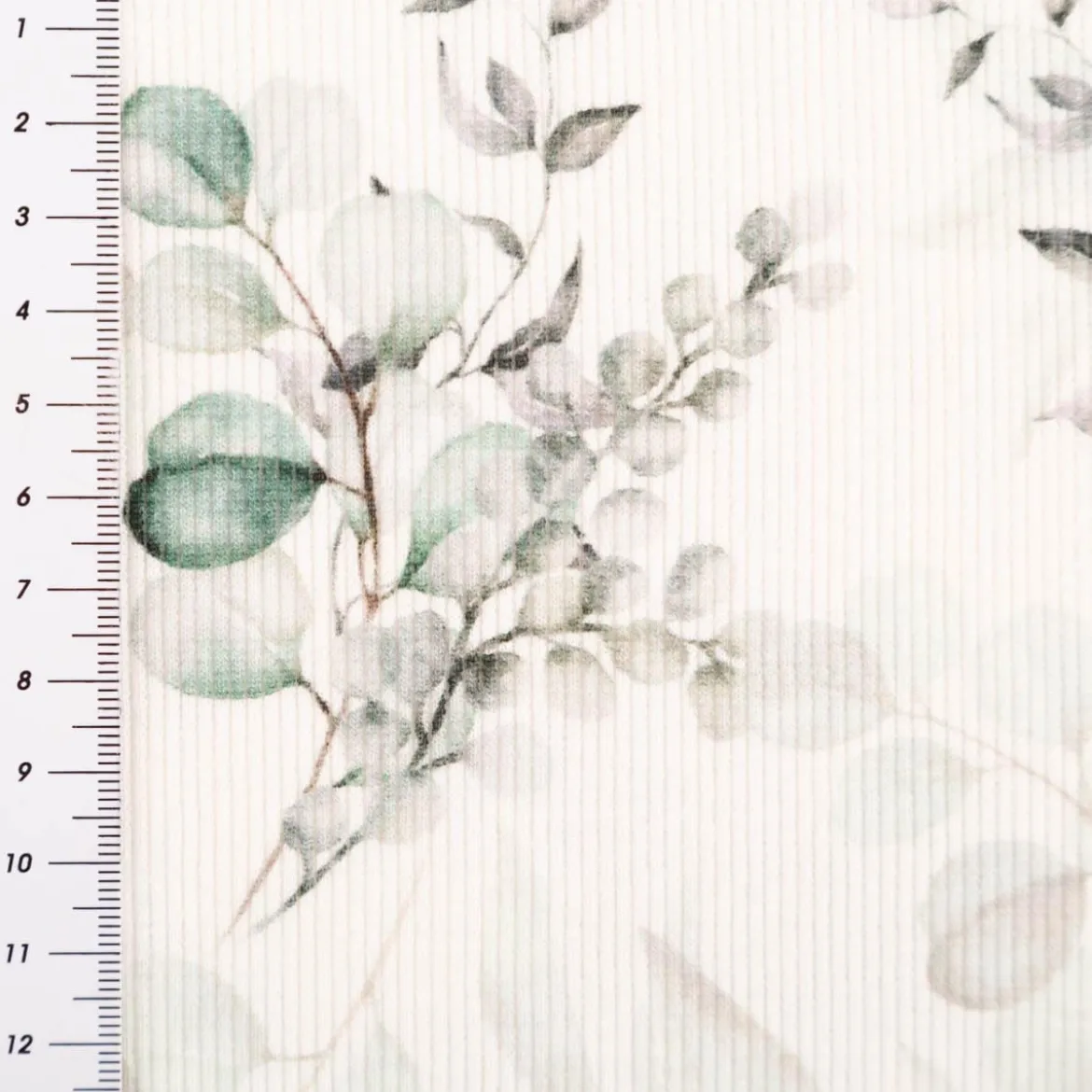 Jersey Stoff Rippjersey Baumwolle Digitaldruck Eukalyptus wollweiß grün 1,20m Breite