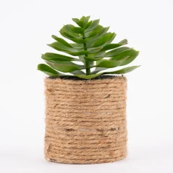 Künstliche Sukkulente im Jutetopf grün natur verschiedene Varianten 8,5x15cm