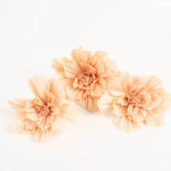 Krepppapier Blüten Soft Pfirsich 3er Set von Rico Design (La Vie en Rose)