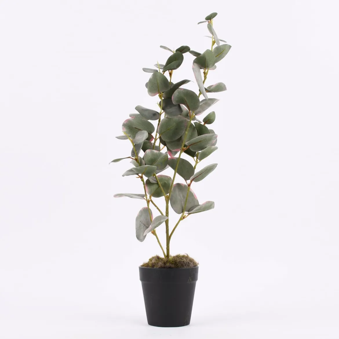 Kunstpflanze im Topf Eukalyptus grün 48cm